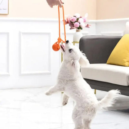 Balle pour Chien - RubberChewToys™ - Orange