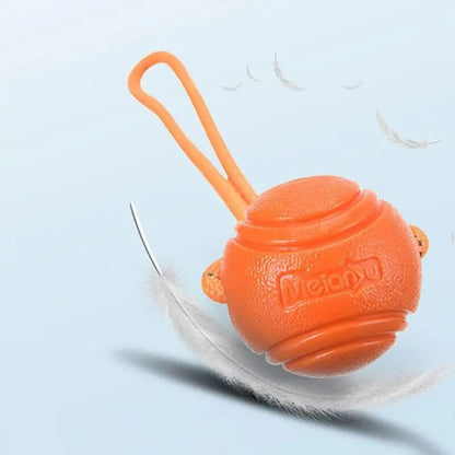 Balle pour Chien - RubberChewToys™ - Orange