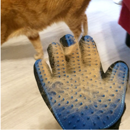 Gant de Toilettage - FurEase™ - Bleu
