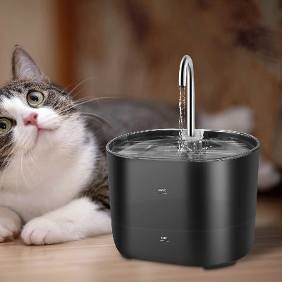 FONTAINE A EAU CHAT - WhiskerFountain™ - Noir