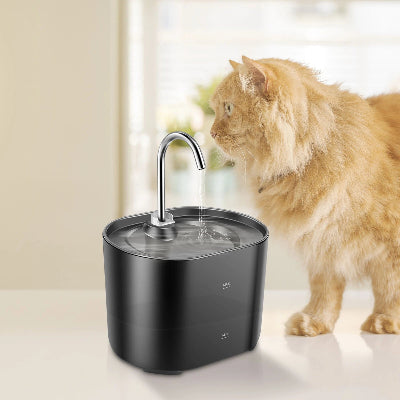 FONTAINE A EAU CHAT - WhiskerFountain™ - Noir