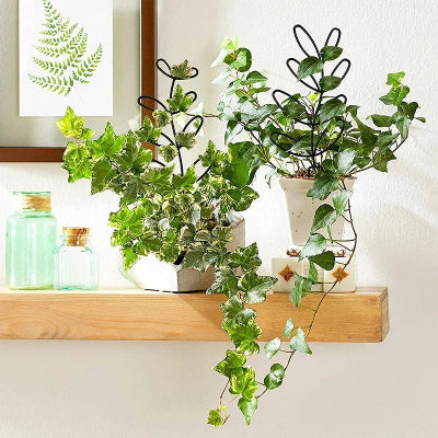 DECORATION JARDIN - NatureTrellis™ - Plante