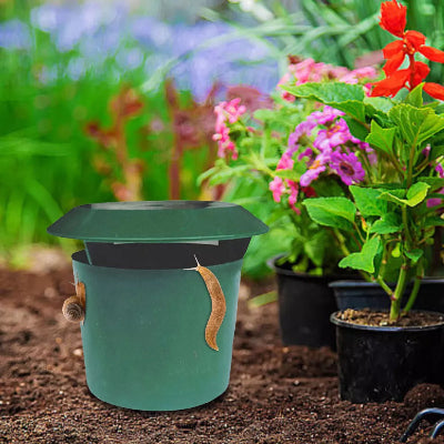 Piege a Limace - SnailTrap™ - Vert