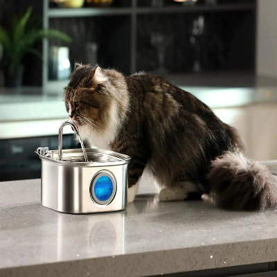 DISRIBUTEUR EAU CHAT - PetFountain™ - Argent
