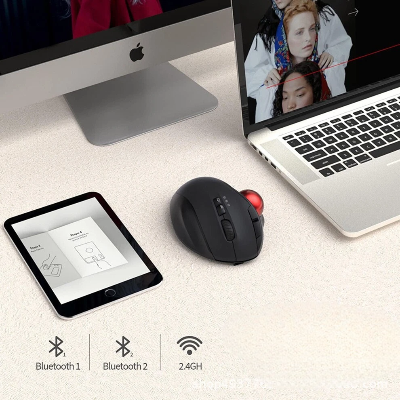 Souris Sans Fil - ErgoRoll™ - Noir