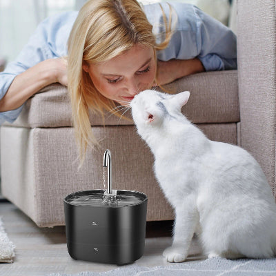 FONTAINE A EAU CHAT - WhiskerFountain™ - Noir