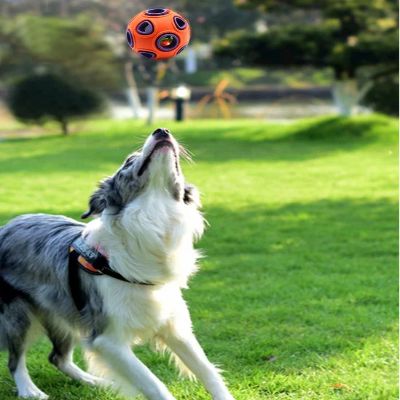 Balle pour chien - DogChewBall™ - Orange