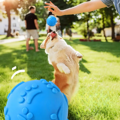 Balle pour Chien - DogChewToys™ - Bleu