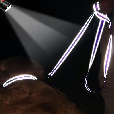Collier Chien - DogsHarnessCollar™ - Violet