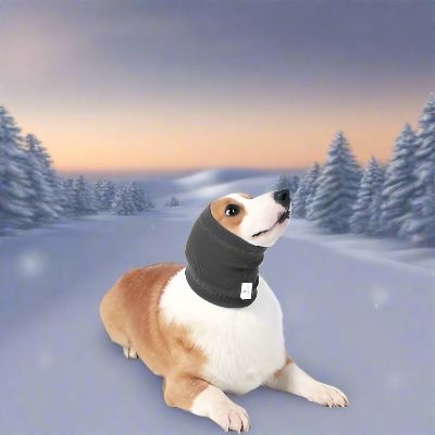 Cache Oreille - DogSoftEarmuffs™ -  Gris Foncé