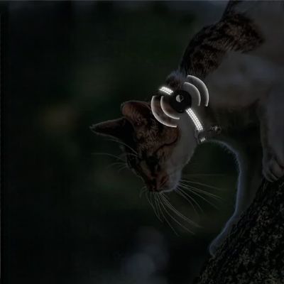 Collier Airtag Chat - CatAirTagCollar™ - Noir