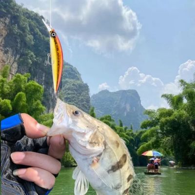 Leurre de peche - FishingLureBait™ - Orange