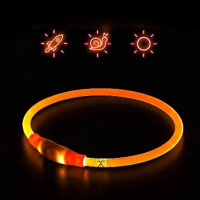 Collier Chien - DogCollarLight™ - Orange