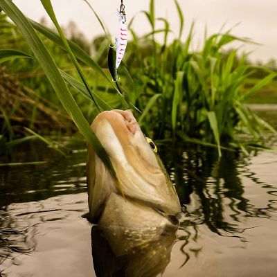 Leurre de peche - FishingLureBait™ - Blanc Rayé