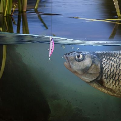 Leurre de peche - FishingLureBait™ - Rose