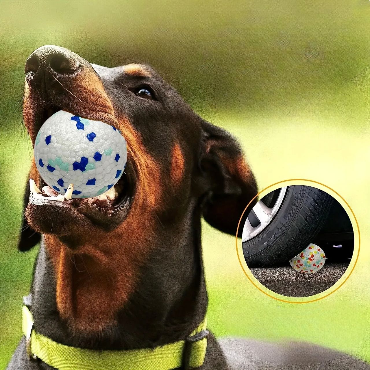 Balle pour Chien - PetGrindingTeethToy™ - Bleu&Vert