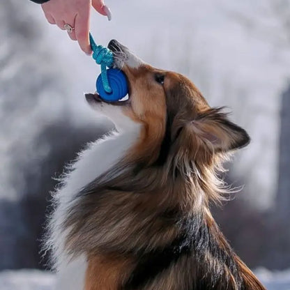 Balle pour Chien - RubberChewToys™ - Bleu