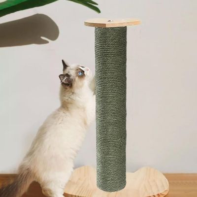 Griffoir Chat - ScratchingPost™- Vert