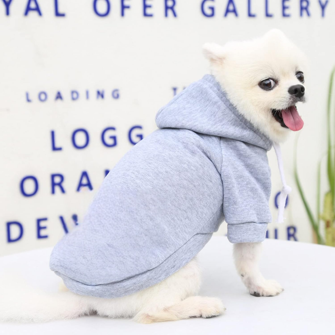 Manteau pour Chien - DogHoodies™ - Gris