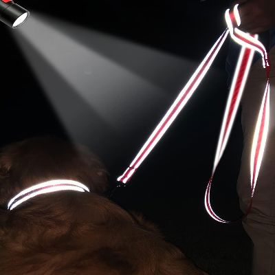 Collier Chien - DogsHarnessCollar™ - Rouge