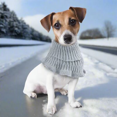 Cache Oreille - DogSoftEarmuffs™ -  Gris