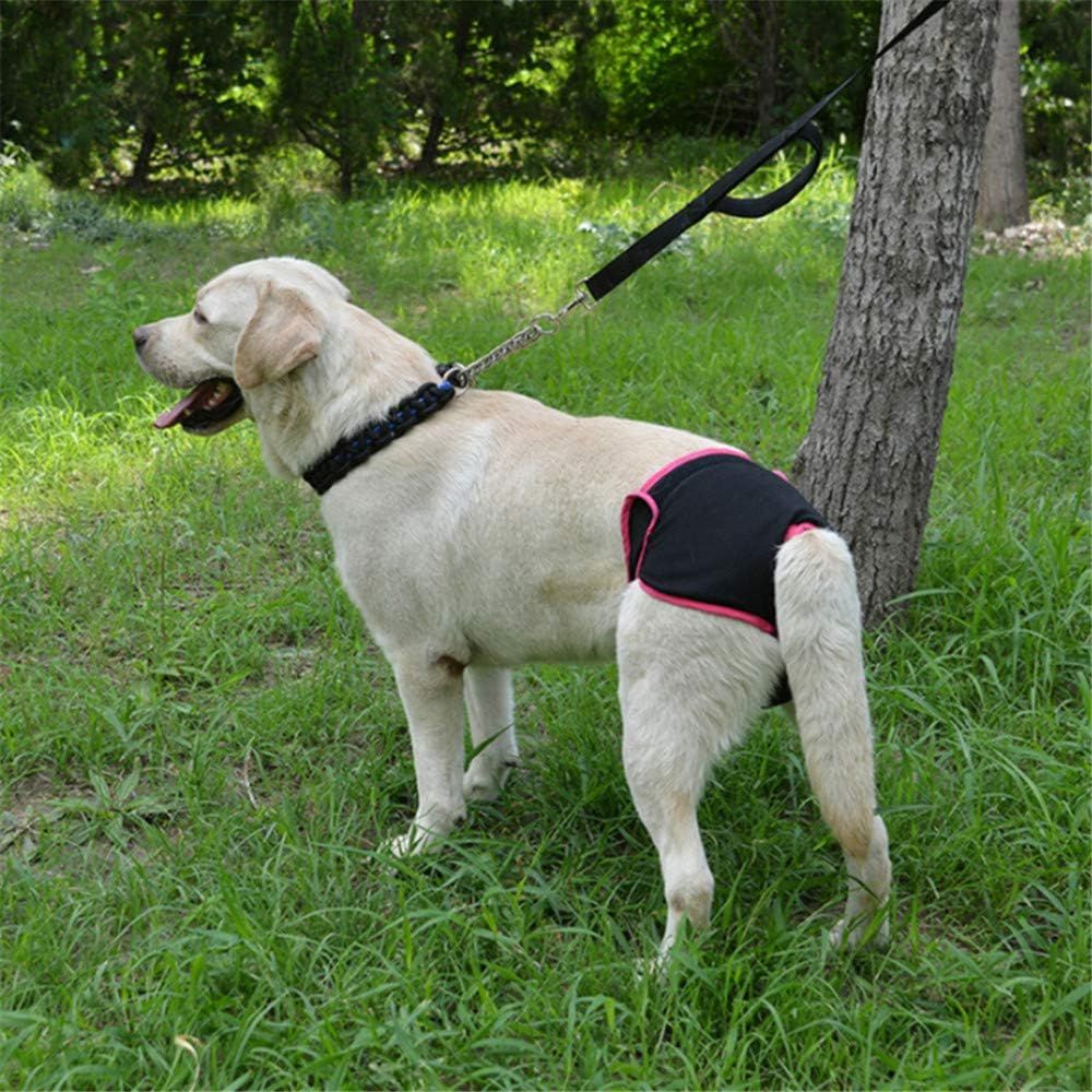 Couche pour chien - FemaleDogShorts™ - Noir