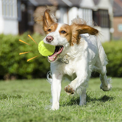 Balle pour Chien - DogChewToys™ - Jaune