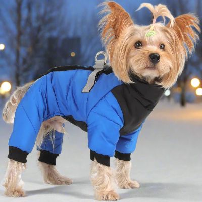 Doudoune pour Chien - WarmJacketDog™ - Bleu