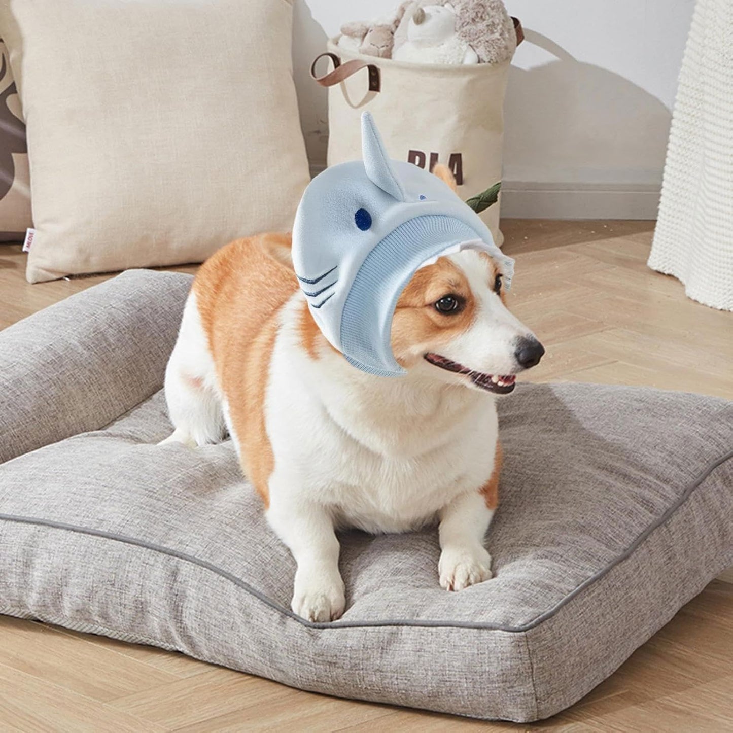 Cache Oreille - DogSoftEarmuffs™ - Requin