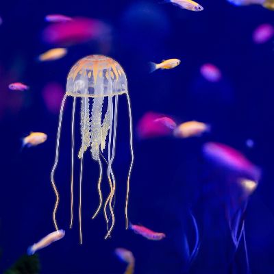 GlowingJellyfish™- Orange