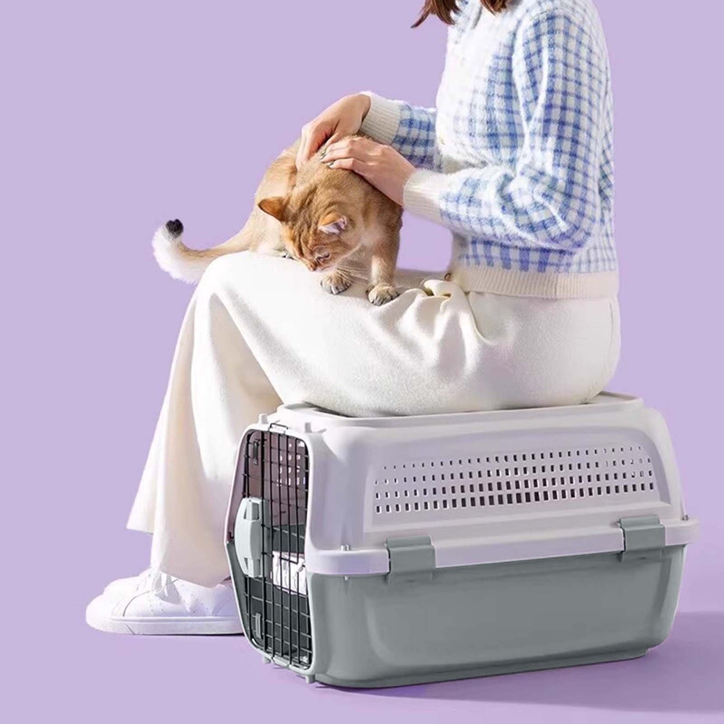 Cage de Transport Pour Chat - PetFlightCase™- Gris