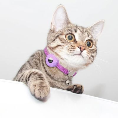 Collier Airtag Chat - CatAirTagCollar™ - Violet