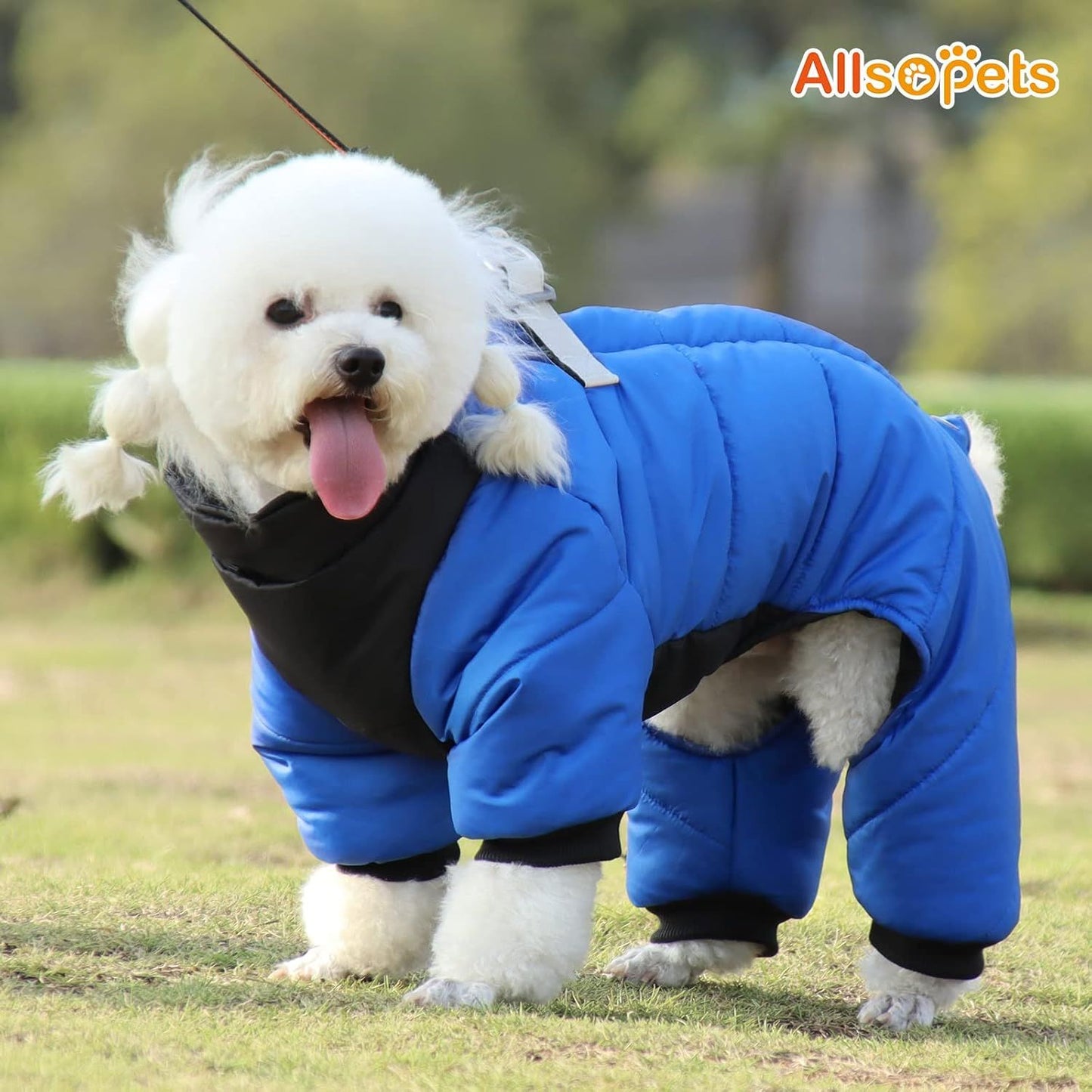 Doudoune pour Chien - WarmJacketDog™ - Bleu