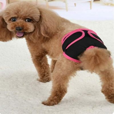 Couche pour chien - FemaleDogShorts™ - Noir