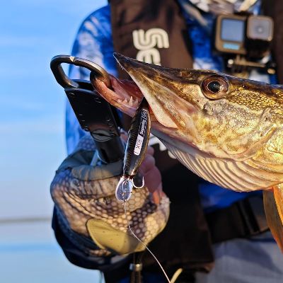 Leurre de peche - FishingLureBait™ - Vert Dégradé