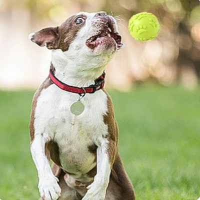 Balle pour Chien - DogChewToys™ - Jaune