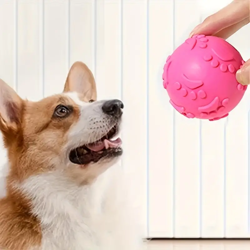Balle pour Chien - DogChewToys™ - Rose