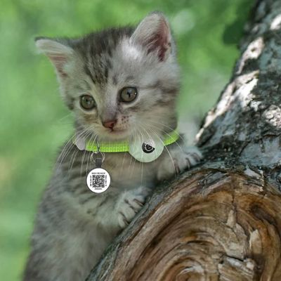 Collier Airtag Chat - CatAirTagCollar™ - Vert Menthe