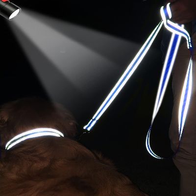 Collier Chien - DogsHarnessCollar™ - Bleu Foncé