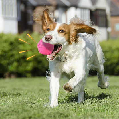 Balle pour Chien - DogChewToys™ - Rose