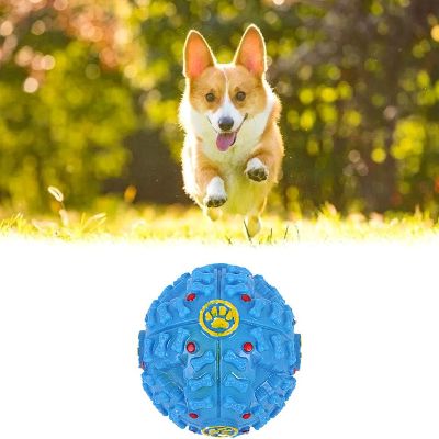 DogFoodBall™- Bleu