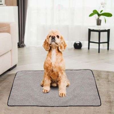 Tapis pour chien - PortableDogMat™ - Gris clair