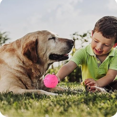 Balle pour Chien - DogChewToys™ - Rose