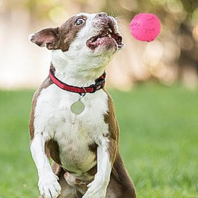 Balle pour Chien - DogChewToys™ - Rose