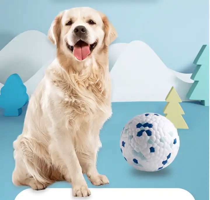 Balle pour Chien - PetGrindingTeethToy™ - Bleu&Vert