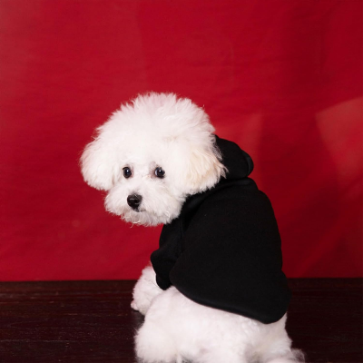 Manteau pour Chien - DogHoodies™ - Noir
