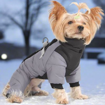 Doudoune pour Chien - WarmJacketDog™ - Gris