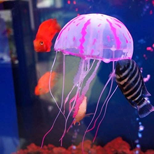 GlowingJellyfish™- Rose