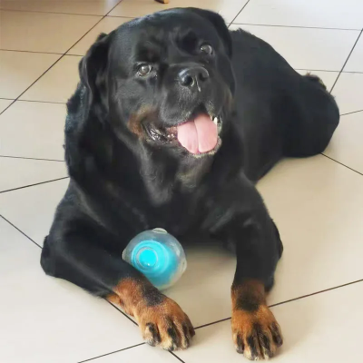 Balle pour Chien - DogSqueakerBall™ - Bleu