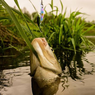 Leurre de peche - FishingLureBait™ - Blanc Coloré